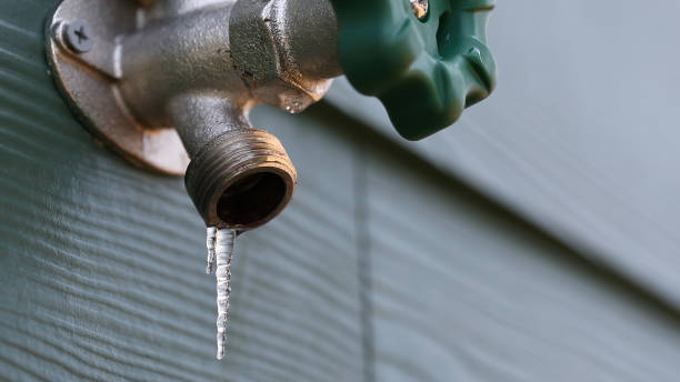 Best Leak Detection Services  in Bigfork, MT